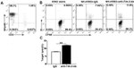 CD3e Antibody in Flow Cytometry (Flow)