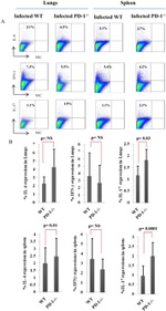 IL-17A Antibody in Flow Cytometry (Flow)