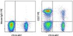 CD27 Antibody in Flow Cytometry (Flow)