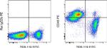 CD45 Antibody in Flow Cytometry (Flow)