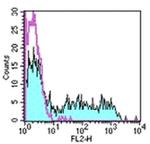 CD94 Antibody in Flow Cytometry (Flow)