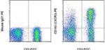 CD183 (CXCR3) Antibody in Flow Cytometry (Flow)