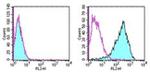 CD262 (DR5) Antibody in Flow Cytometry (Flow)