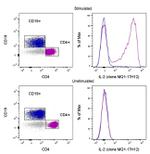 IL-2 Antibody