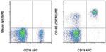 CD185 (CXCR5) Antibody in Flow Cytometry (Flow)