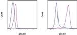 IDO Antibody in Flow Cytometry (Flow)