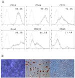 CD105 (Endoglin) Antibody in Flow Cytometry (Flow)