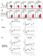 CD28 Antibody in Flow Cytometry (Flow)