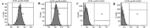 CD29 (Integrin beta 1) Antibody in Flow Cytometry (Flow)