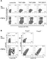 GARP Antibody in Flow Cytometry (Flow)