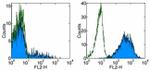 CD16 Antibody in Flow Cytometry (Flow)