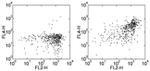 CD163 Antibody in Flow Cytometry (Flow)