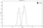 HSP90 Antibody in Flow Cytometry (Flow)