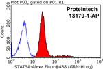 STAT5A Antibody in Flow Cytometry (Flow)