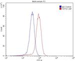 P-cadherin Antibody in Flow Cytometry (Flow)