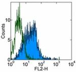 SSEA3 Antibody in Flow Cytometry (Flow)