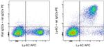 Ly-6G Antibody in Flow Cytometry (Flow)