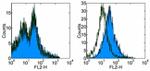 CD279 (PD-1) Antibody in Flow Cytometry (Flow)