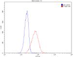 Histone-H3 Antibody in Flow Cytometry (Flow)