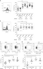 CD152 (CTLA-4) Antibody in Flow Cytometry (Flow)