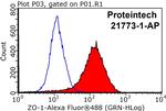 ZO-1 Antibody in Flow Cytometry (Flow)