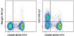 CD73 Antibody in Flow Cytometry (Flow)