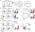 LAP (Latency Associated peptide) Antibody in Flow Cytometry (Flow)