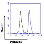 Rabbit IgG (H+L) Cross-Adsorbed Secondary Antibody in Flow Cytometry (Flow)