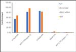 EZH2 Antibody