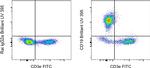 CD19 Antibody in Flow Cytometry (Flow)