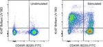 Ki-67 Antibody in Flow Cytometry (Flow)