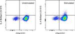 IL-4 Antibody in Flow Cytometry (Flow)