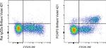 FOXP3 Antibody in Flow Cytometry (Flow)