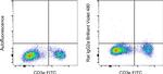 Rat IgG2a kappa Isotype Control in Flow Cytometry (Flow)