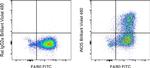 iNOS Antibody in Flow Cytometry (Flow)