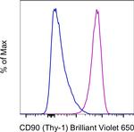 CD90 (Thy-1) Antibody in Flow Cytometry (Flow)