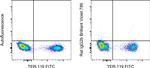 Rat IgG2b kappa Isotype Control in Flow Cytometry (Flow)