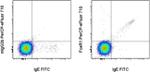 FceR1 alpha Antibody in Flow Cytometry (Flow)