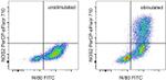 iNOS Antibody in Flow Cytometry (Flow)