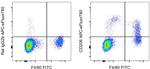 CD206 (MMR) Antibody in Flow Cytometry (Flow)