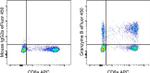 Granzyme B Antibody in Flow Cytometry (Flow)