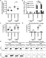 IL-17A Antibody in Flow Cytometry (Flow)