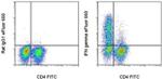 IFN gamma Antibody in Flow Cytometry (Flow)