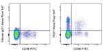 TIGIT Antibody in Flow Cytometry (Flow)