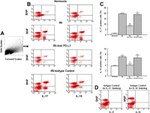 IL-17A Antibody in Flow Cytometry (Flow)