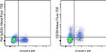 CD39 Antibody in Flow Cytometry (Flow)