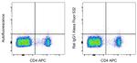 Rat IgG1 kappa Isotype Control in Flow Cytometry (Flow)