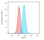 RAD51 Antibody in Flow Cytometry (Flow)