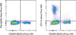 CD11b Antibody in Flow Cytometry (Flow)