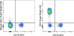 CD2 Antibody in Flow Cytometry (Flow)